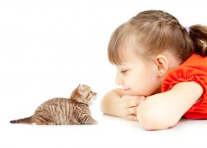 Read more about the article 4 Tip Mendapatkan ‘Pets’ Buat si Manja